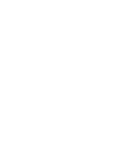 Logo ARSS